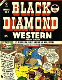 Black Diamond Western